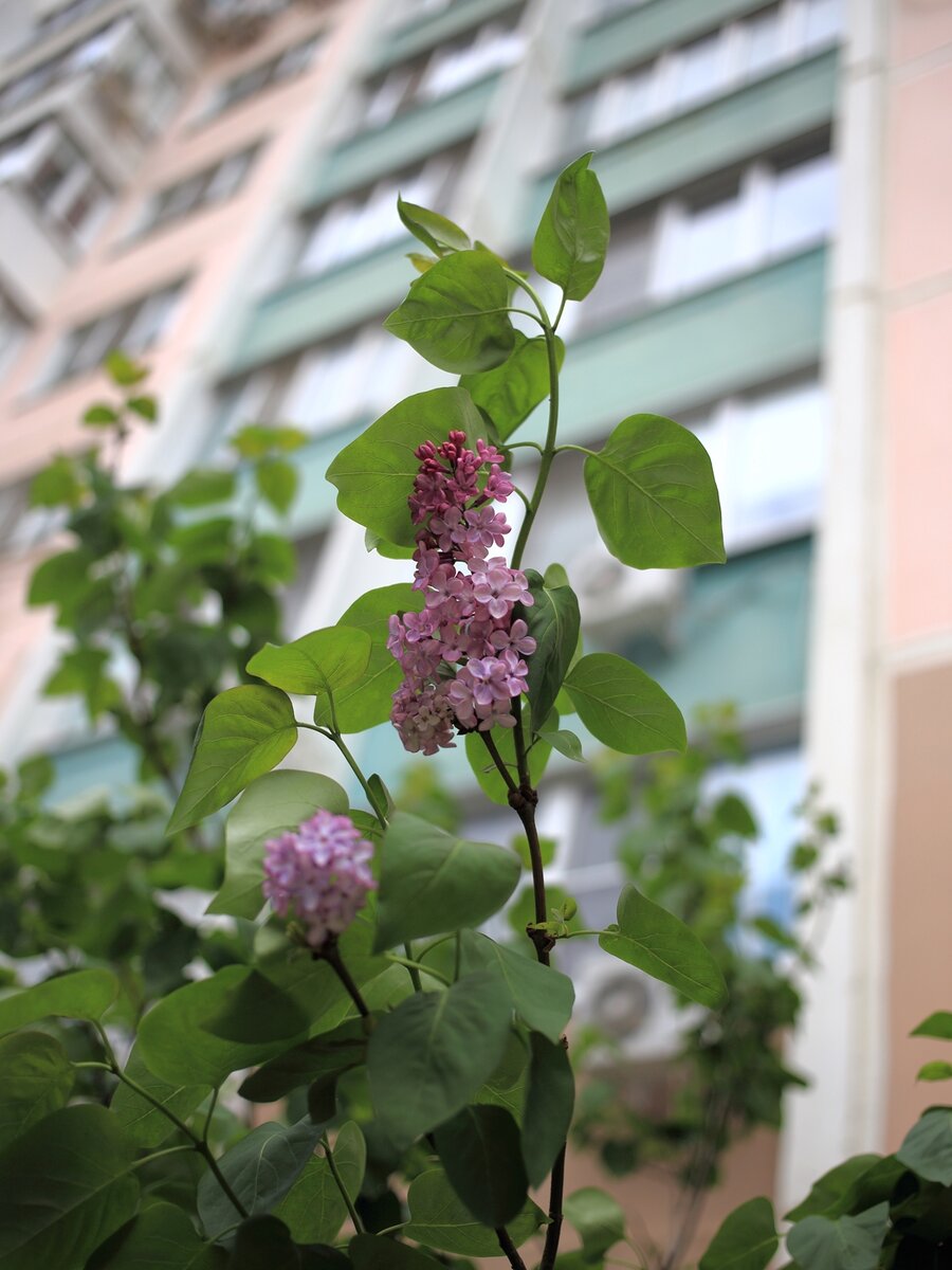 № 1.  f/2.8  1/800