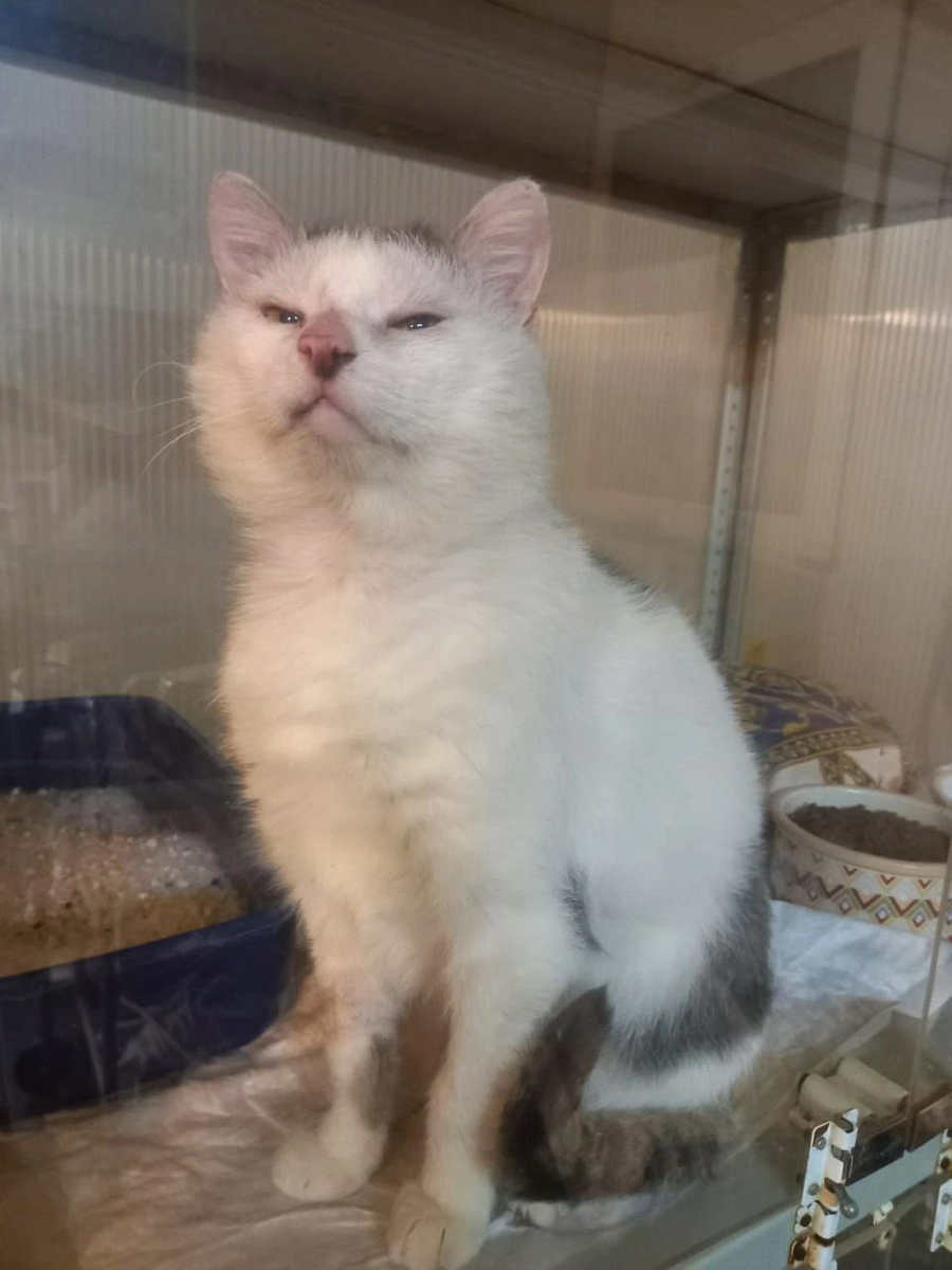 Фото не новое.