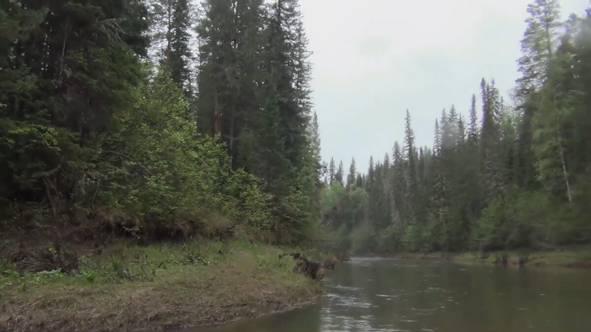 Все поплыли. Я плачу. Федорович Кричит на прощание - ДОСВИДАНИЕ МИША МАША - кто там ходил - МЕДВЕДИ приходили к нам ночью и валили деревья - точнее один наверное медведь - хозяин этой территории медведь ЛЮБОПЫТЕН, но треск нашего ночного костра НОДЬИ не давал медведю подходить ближе. 