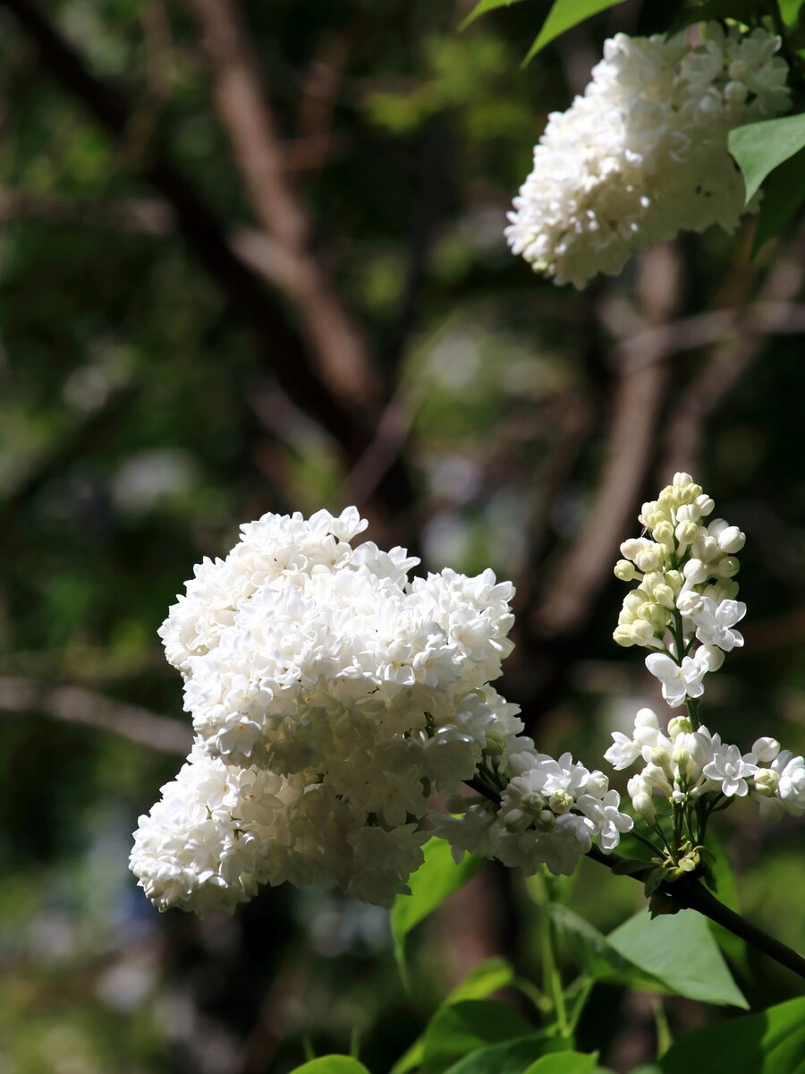 № 3. F = 150mm,  1/1000