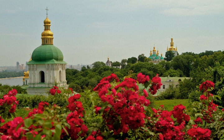 Фото: Яндекс Картинки