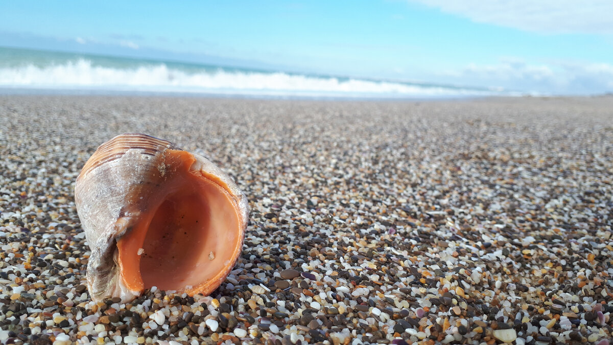 Наш пляж возле Сак