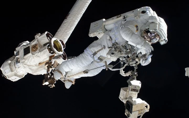 Фото: pxhere.com/СС0