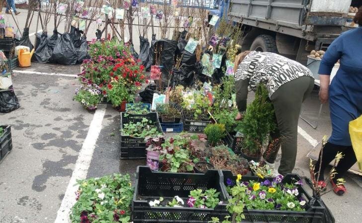    фото Курские известия