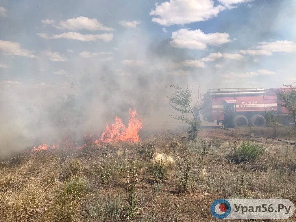    В Орске на ОЗТП горит пойменный лес вдоль Урала. Комментарий МЧС