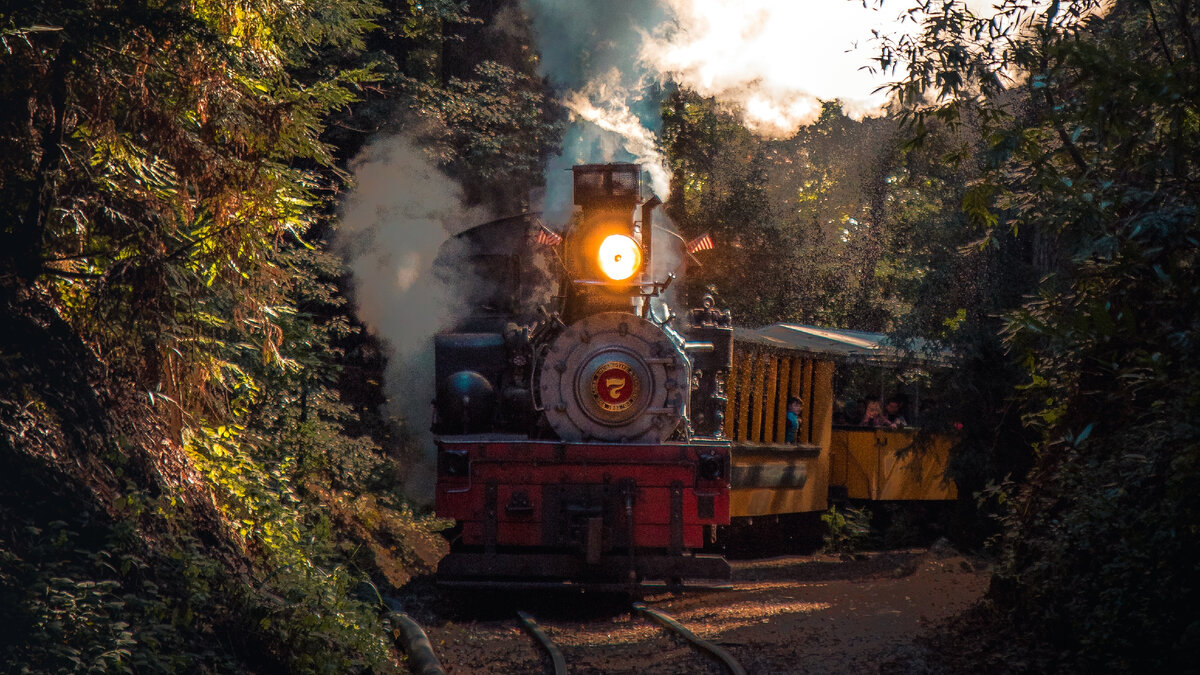 Photo by Casey Horner on Unsplash