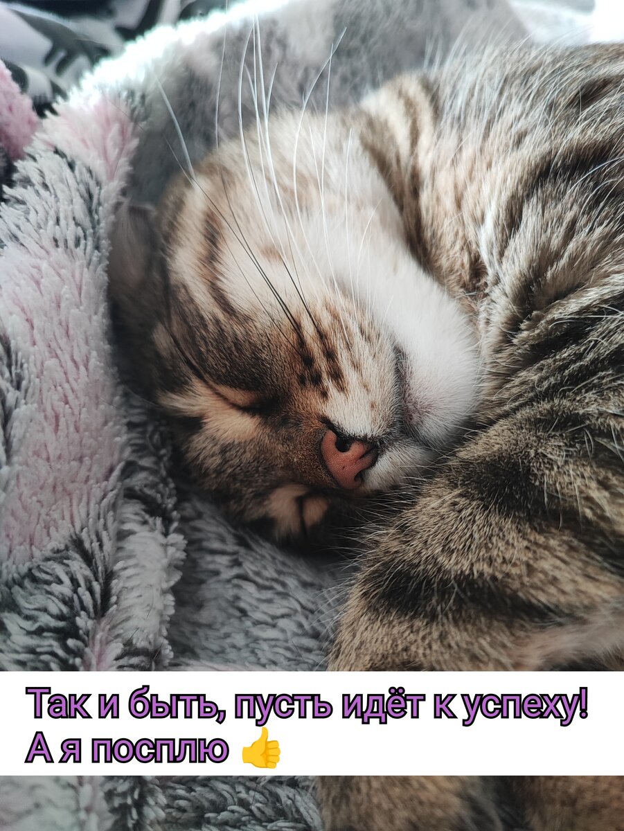 Фотографии автора 