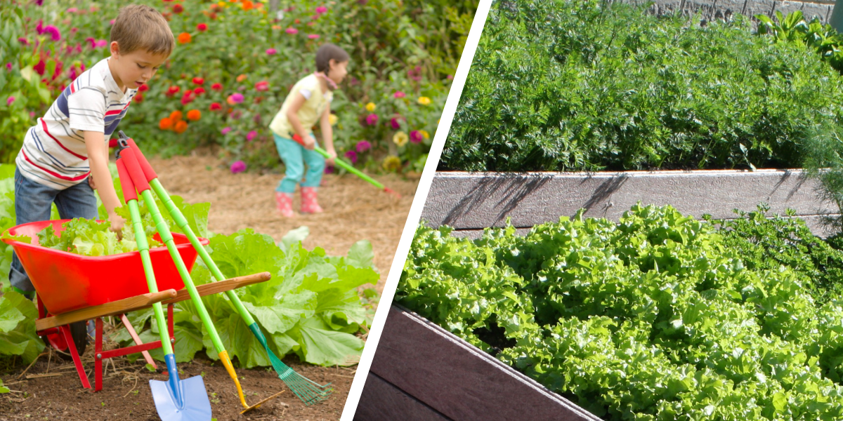 Детская грядка: как сделать для ребенка собственный огородик