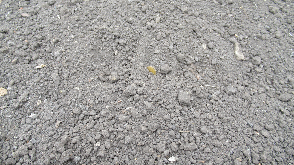 Фото из собственного архива.