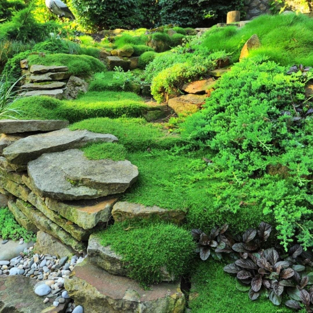 Better gardens