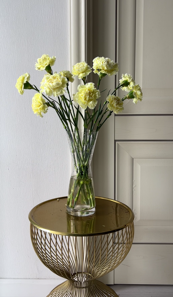    Гвоздики способны простоять в вазе 2-3 неделиФото пресс-службы