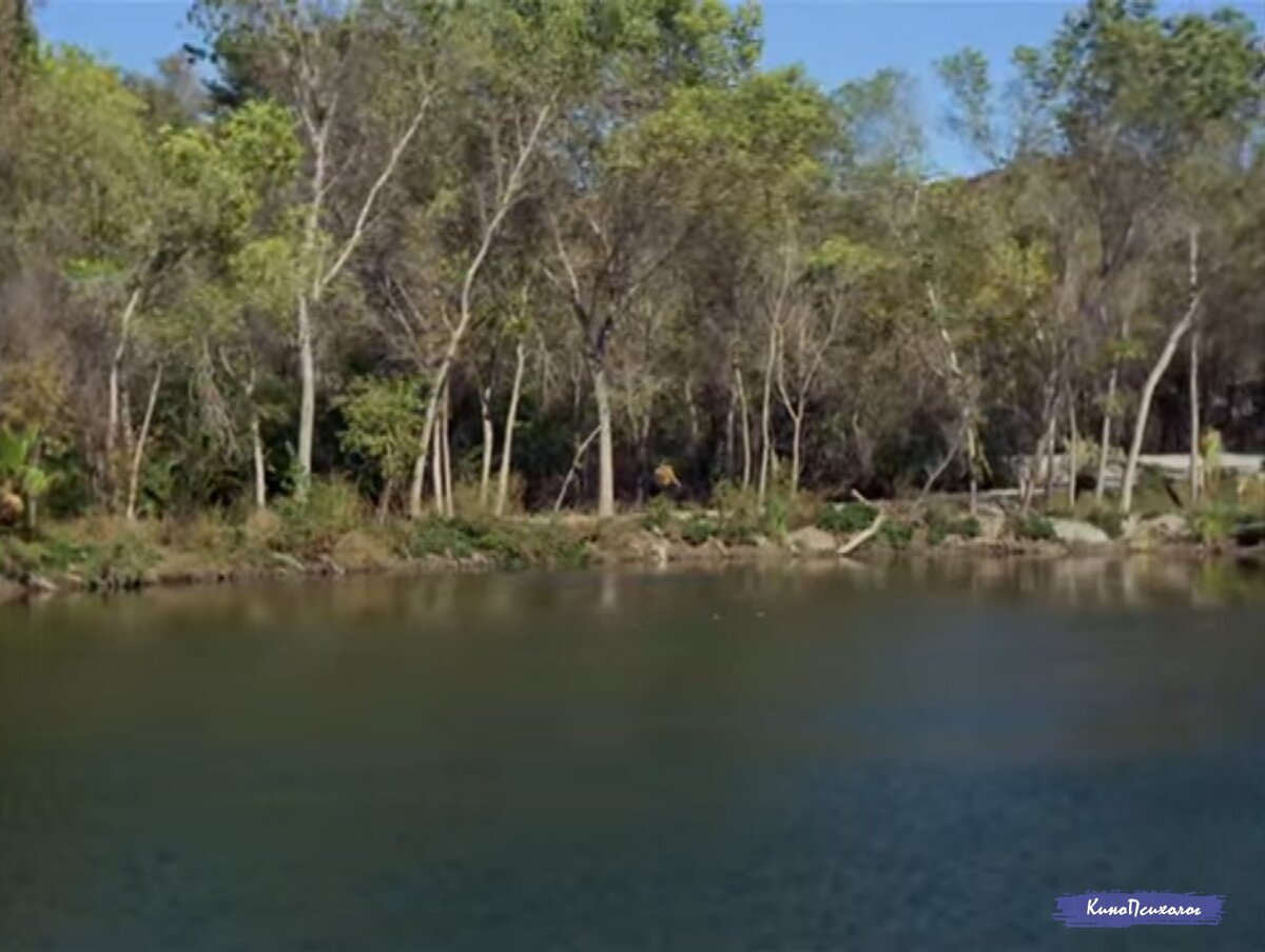 "Star trek", скриншот. 