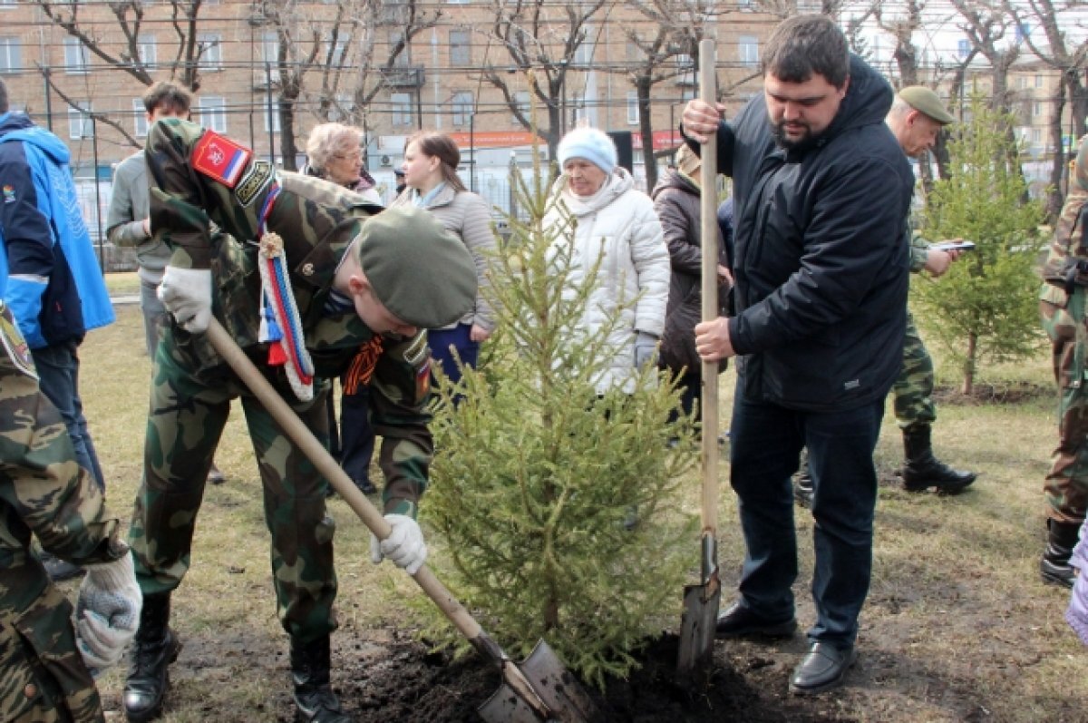    Уже 14 лет подряд в Железнодорожном районе на Аллее Победителей высаживают деревья.
