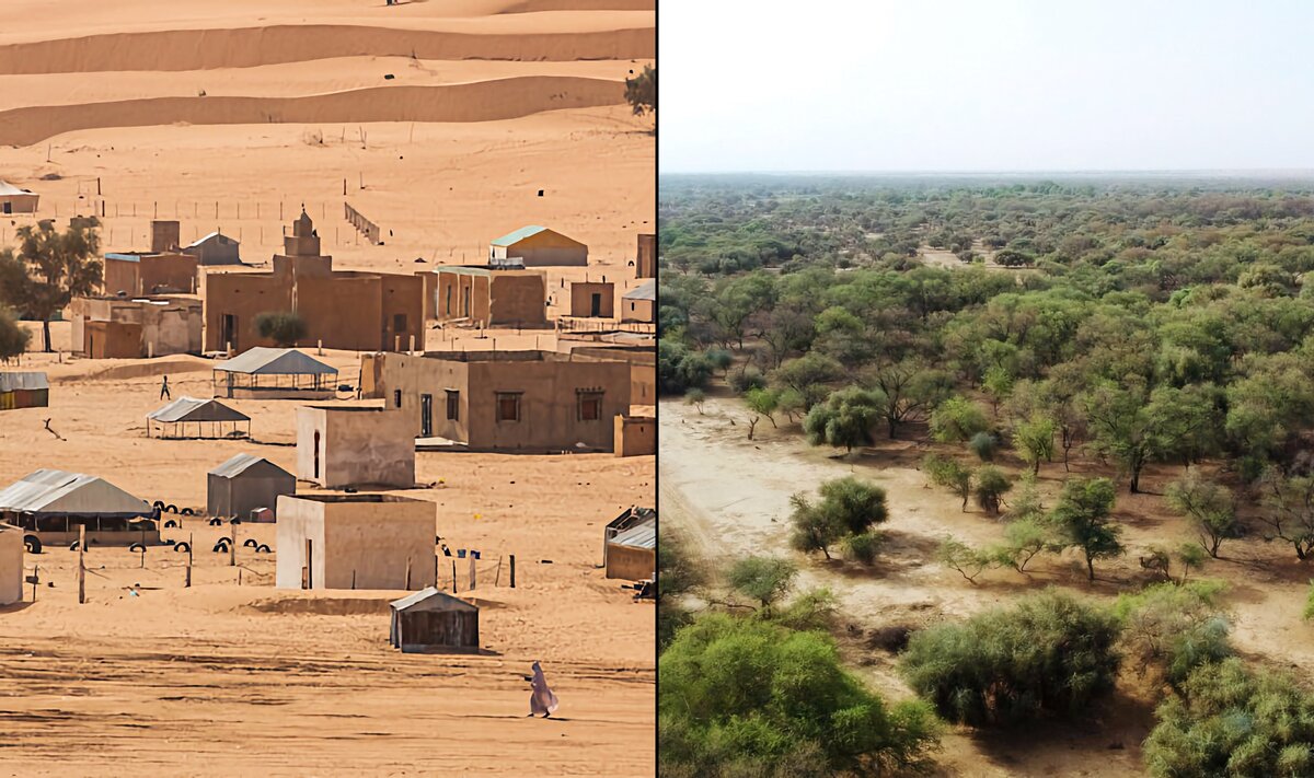 Опустынивание сахель. Сахель в африке национальный парк. Равнина сахель африка. Опустынивание стран африки. Опустынивание стран африки.