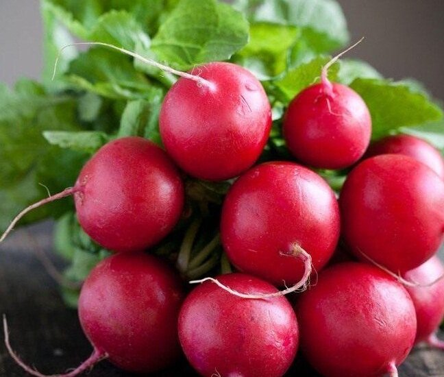 пучок редиса
