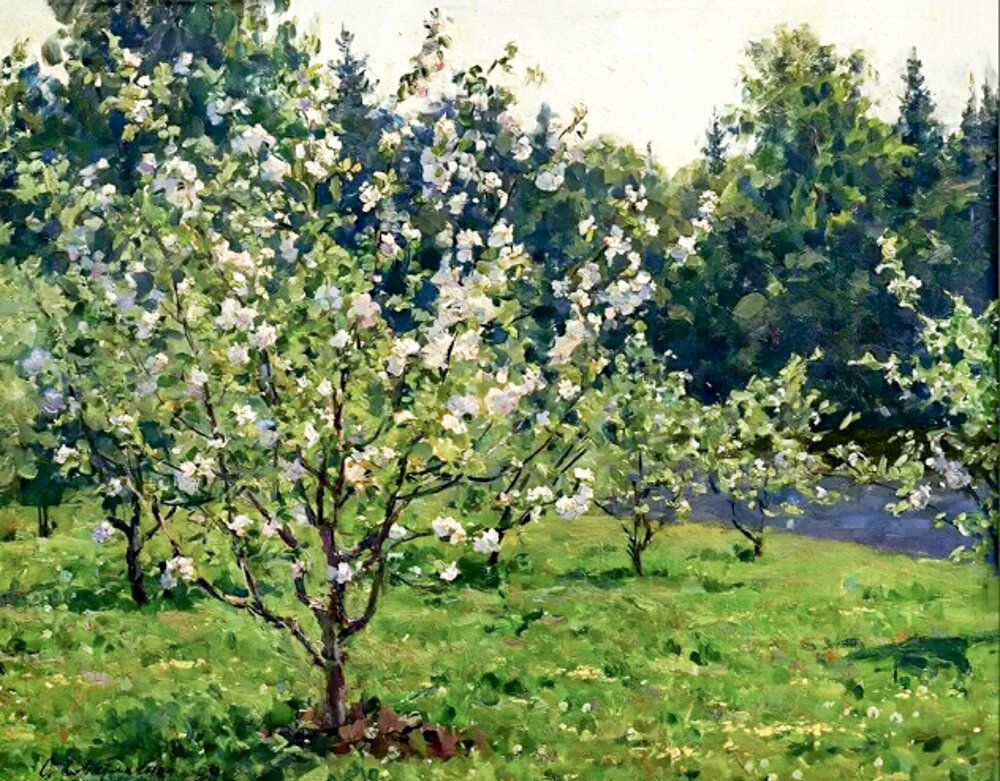 Художник Ольга Светличная "Цветущие яблони"
