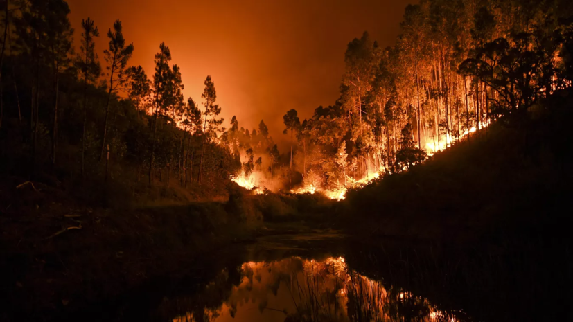   AFP