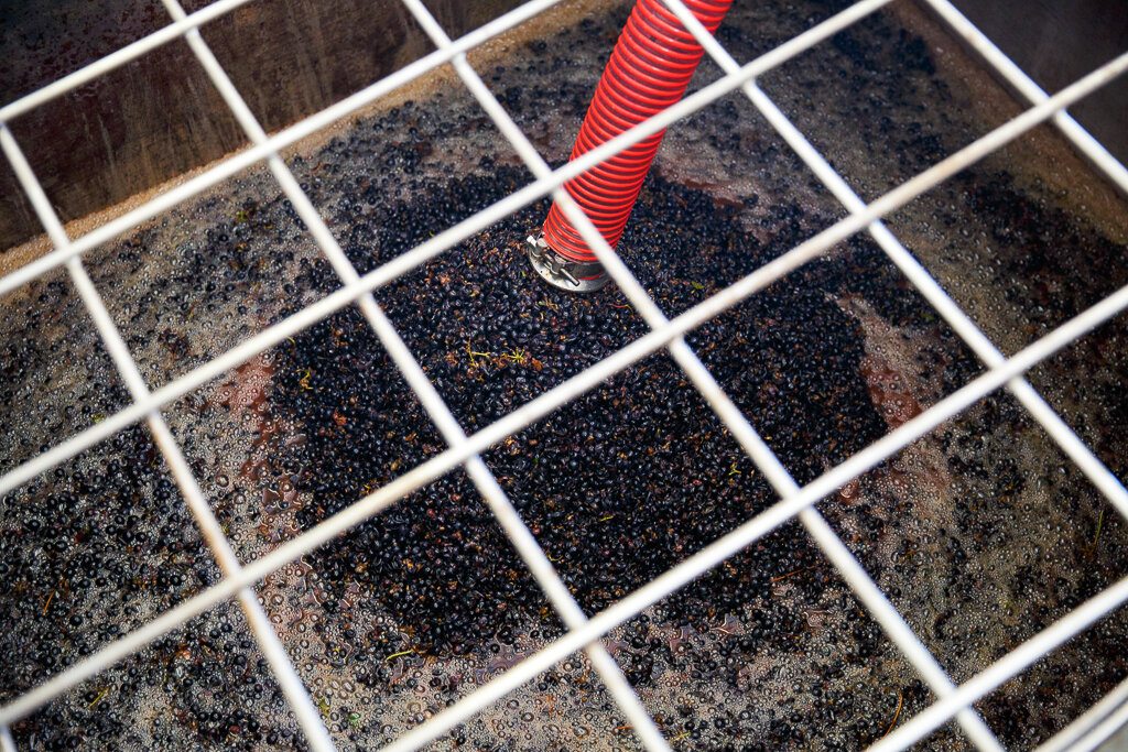 Фото: © Андрей Ковалев