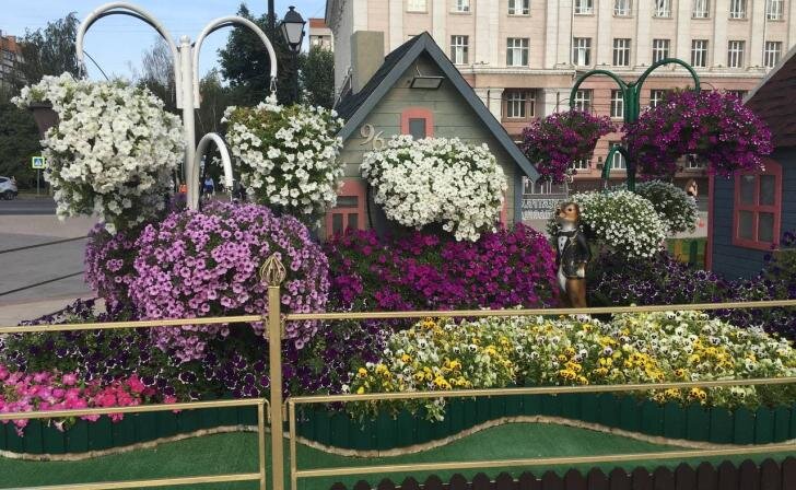    фото Курские известия