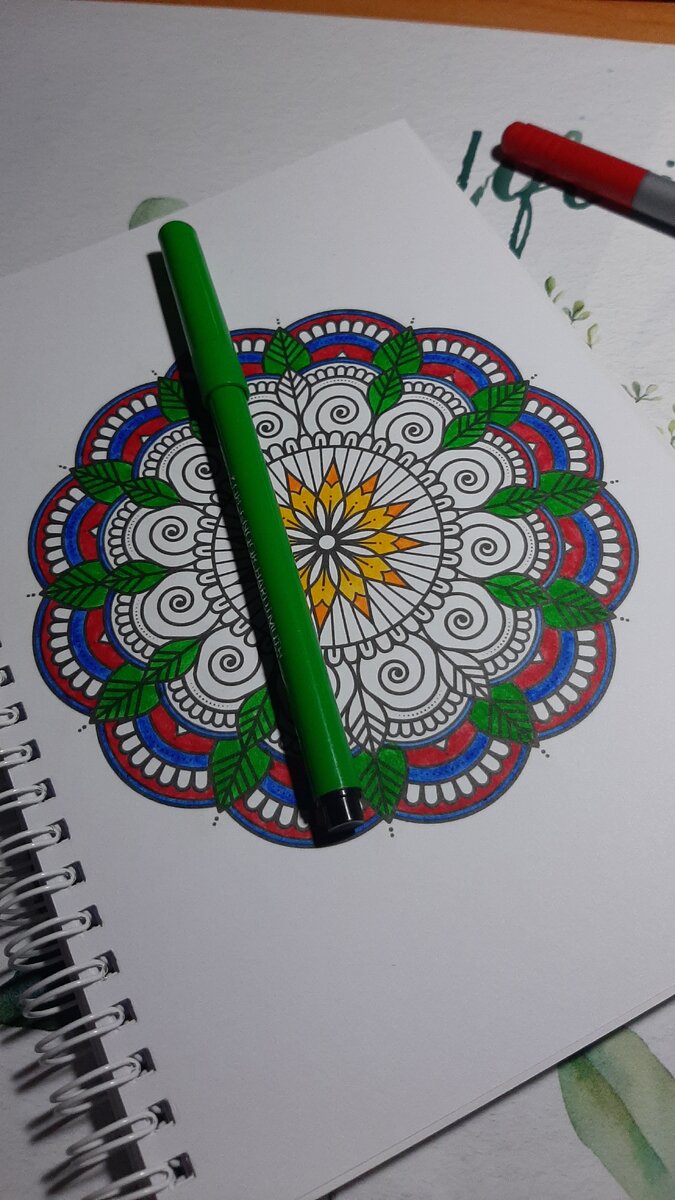  Начиная свой творческий путь я раскрашивала только узоры и патерны, ну просто в то время, а это был 2014-2015 год, не было такого разнообразия раскрасок и тематик, больше скажу, раскрашивание среди взрослых не пользовалось спросом и популярностью😕Спустя время, я увидела вконтакте группу по раскраскам и от сюда уже началось мое серьезное увлечение этим хобби🤪 я распечатывала картинки, моя первая раскраска была куплена в киоске с очередными узорами. Помню, как появилась первая раскркска Джоанны Бесфорд, это была самая первая раскраска, которая позиционировала себя как для взрослых, но мне она пришла не по душе, т.к.тогда уже я думала о чем-то большем чем цветочки и узоры. Спустя время стали появляться разнообразные тематики и раскраски, тогда в мою душу запали раскраски Керби, тогда еще с дудлами, а потом уже и остальные.А какие раскраски любите вы?