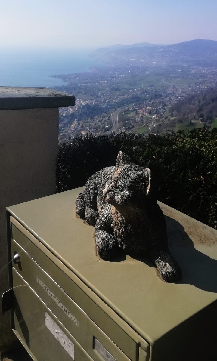 ПАНОРАМНЫЙ ВИД MONTREUX С ВЫСОТЫ CAUX. SUISSE