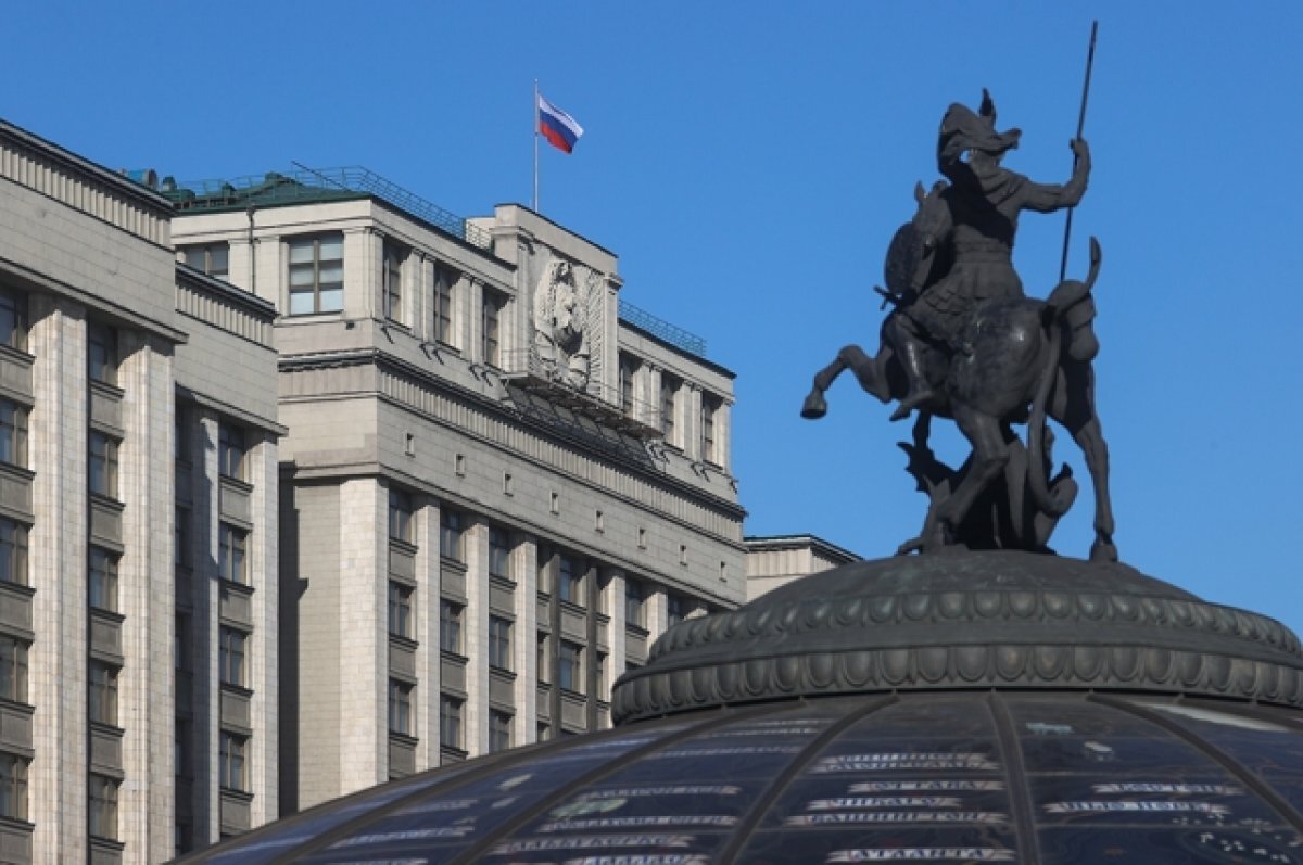    В Госдуме поддержали поправки в закон о бездомных животных