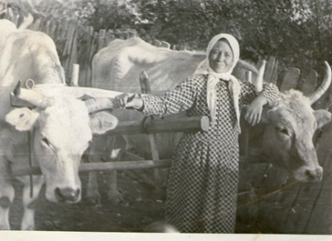 Такую Кировку мы помним и любим.