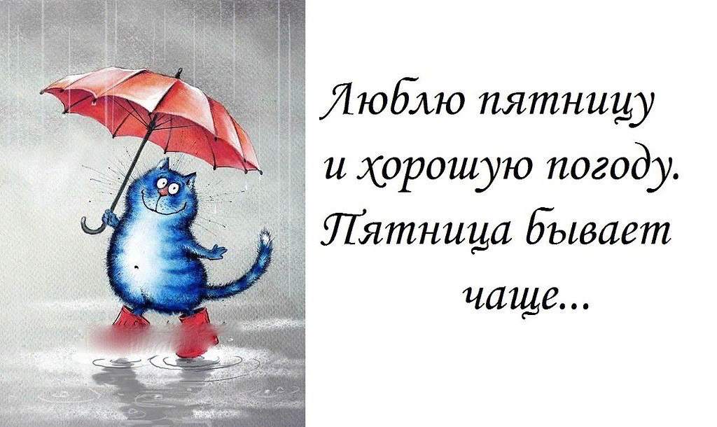 Хорошей погоды картинки прикольные