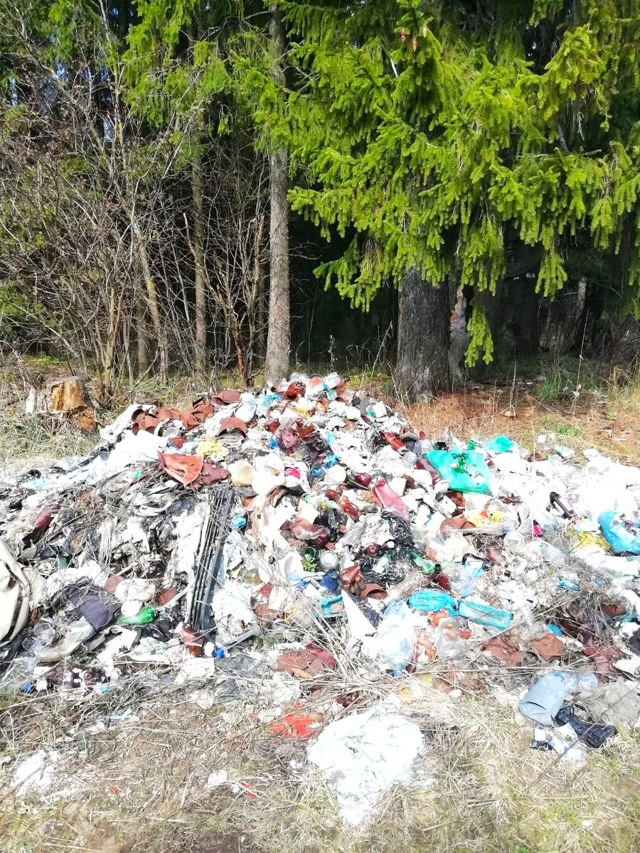 На фото: несанкционированная свалка мусора в лесу (фото моё).