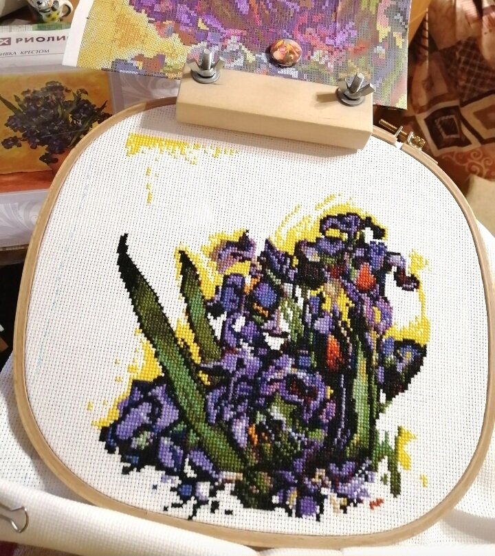 Ирисы, Риолис