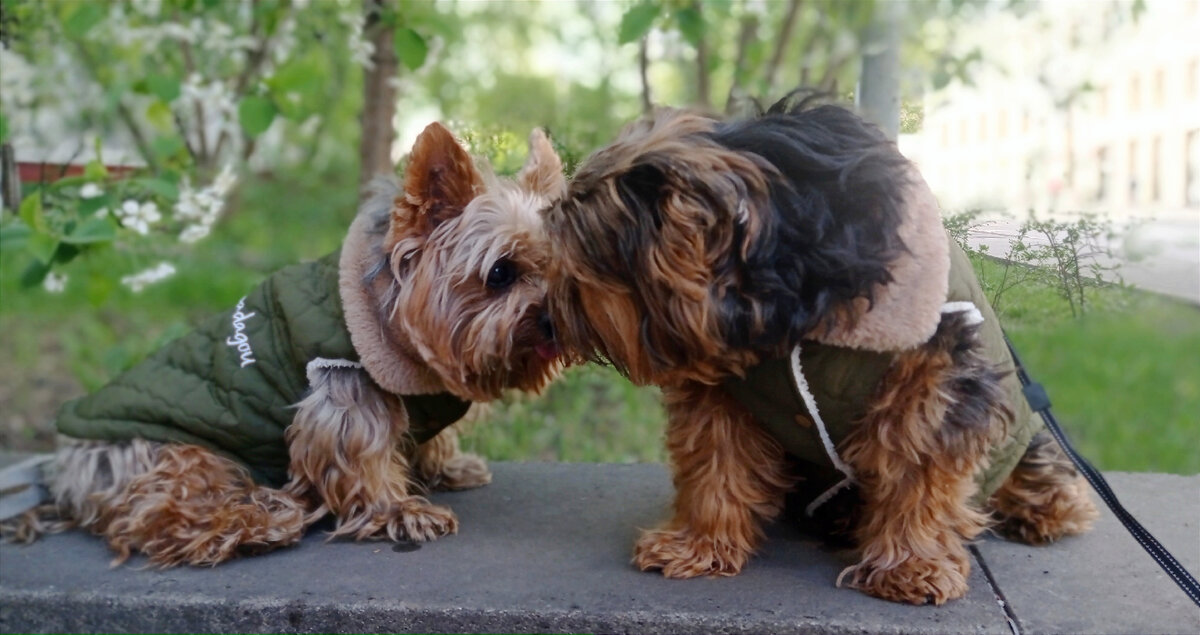 Любофффь ❤