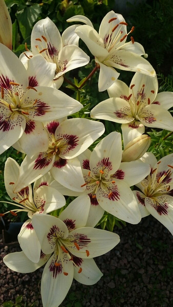 Фото из личного архива.