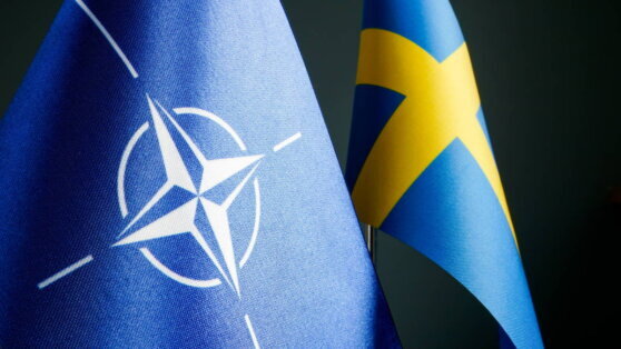    В Турции указали на отсутствие прогресса в вопросе вступления Швеции в НАТО Ксения Пудовкина