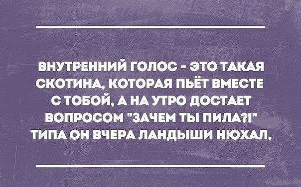 Внутренний голос. Внутренний голос картинки прикольные. Внутренний голос прикол. Внутренний голос это такая скотина. Смешные картинки с надписями внутренний голос.