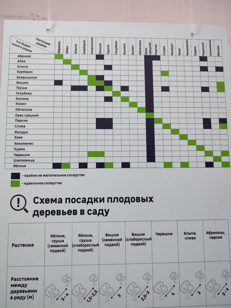 На всякий случай сфотографировала допустимое соседство