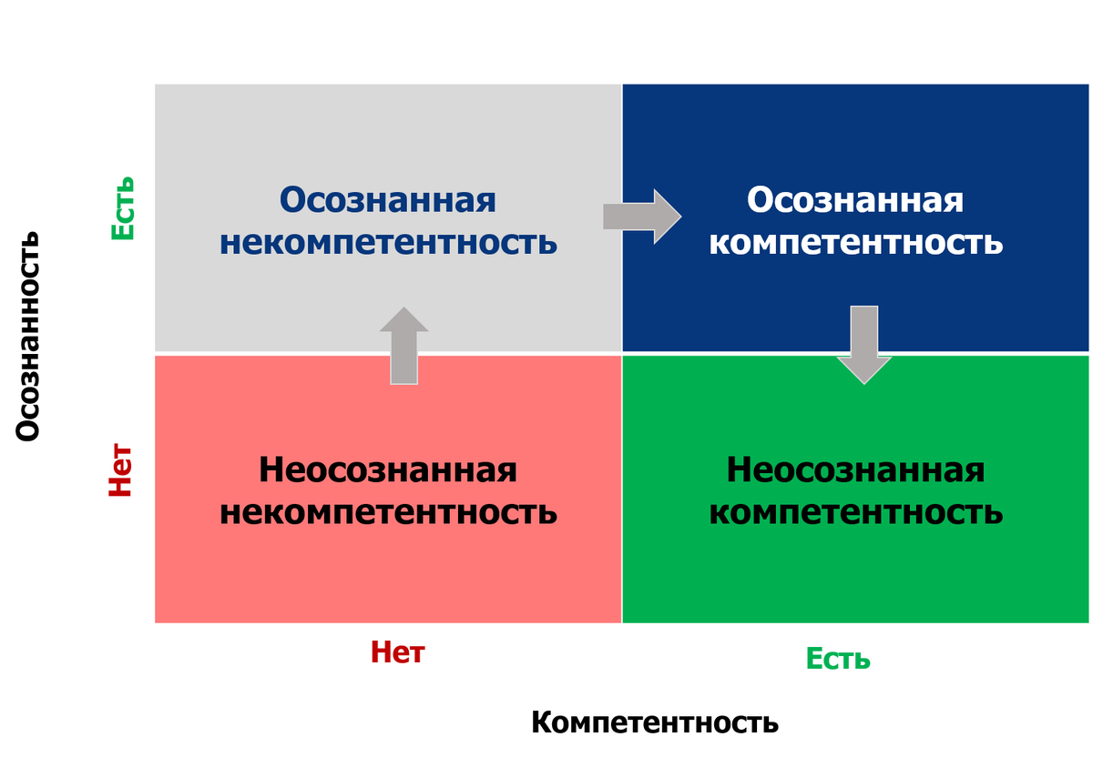 Система наставничества. Лин Вектор