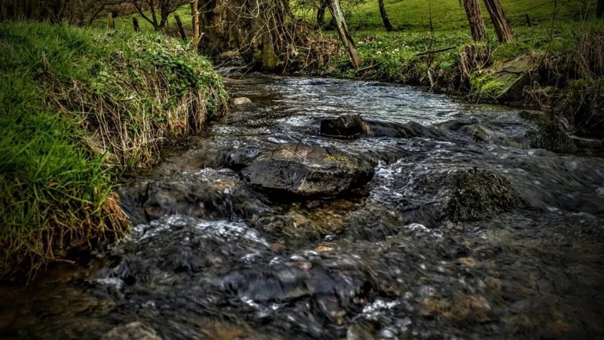 Фото: pixabay.com