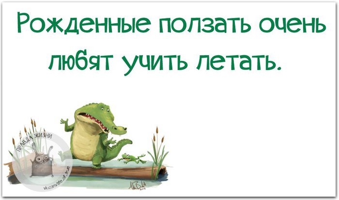 Рожденный ползать летать не может картинки