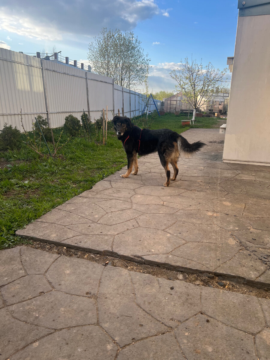 Катя, ну ты идешь?