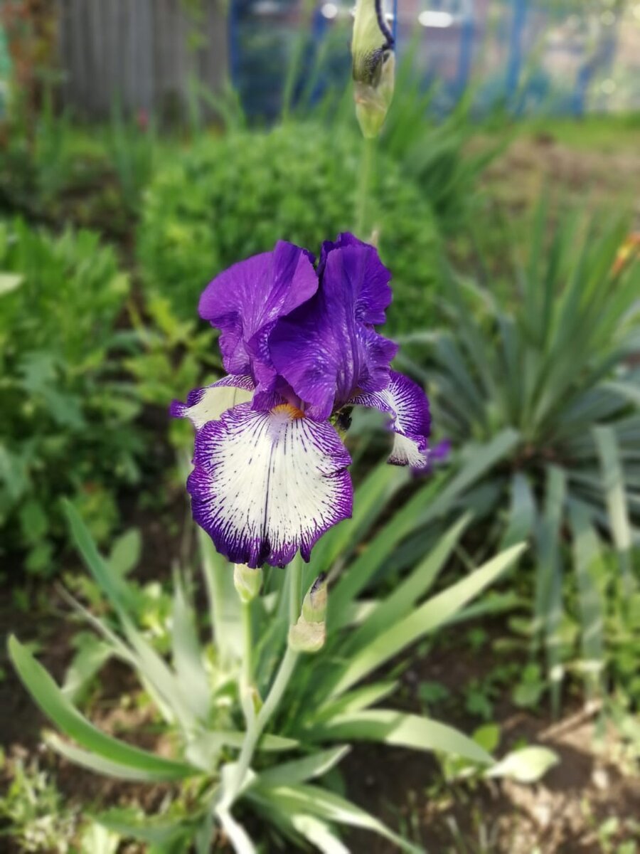 Листайте галерею