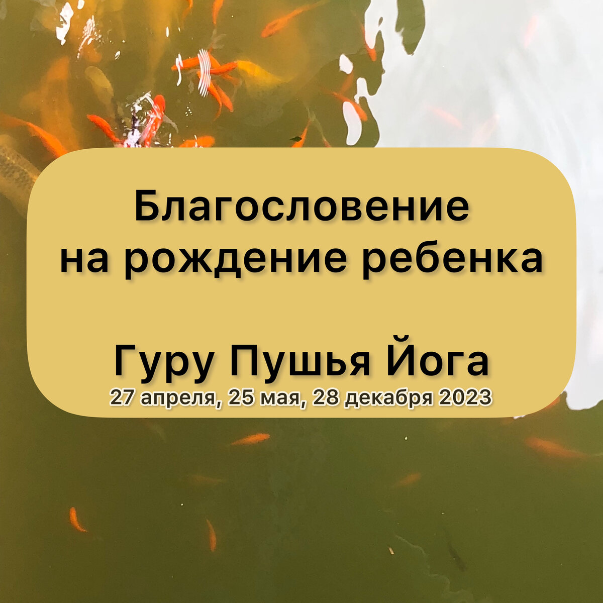 Гуру-Пушья йога. День, когда женщина получает благословение на рождение  ребенка! | ОКЕАН ВАСТУ | Дзен