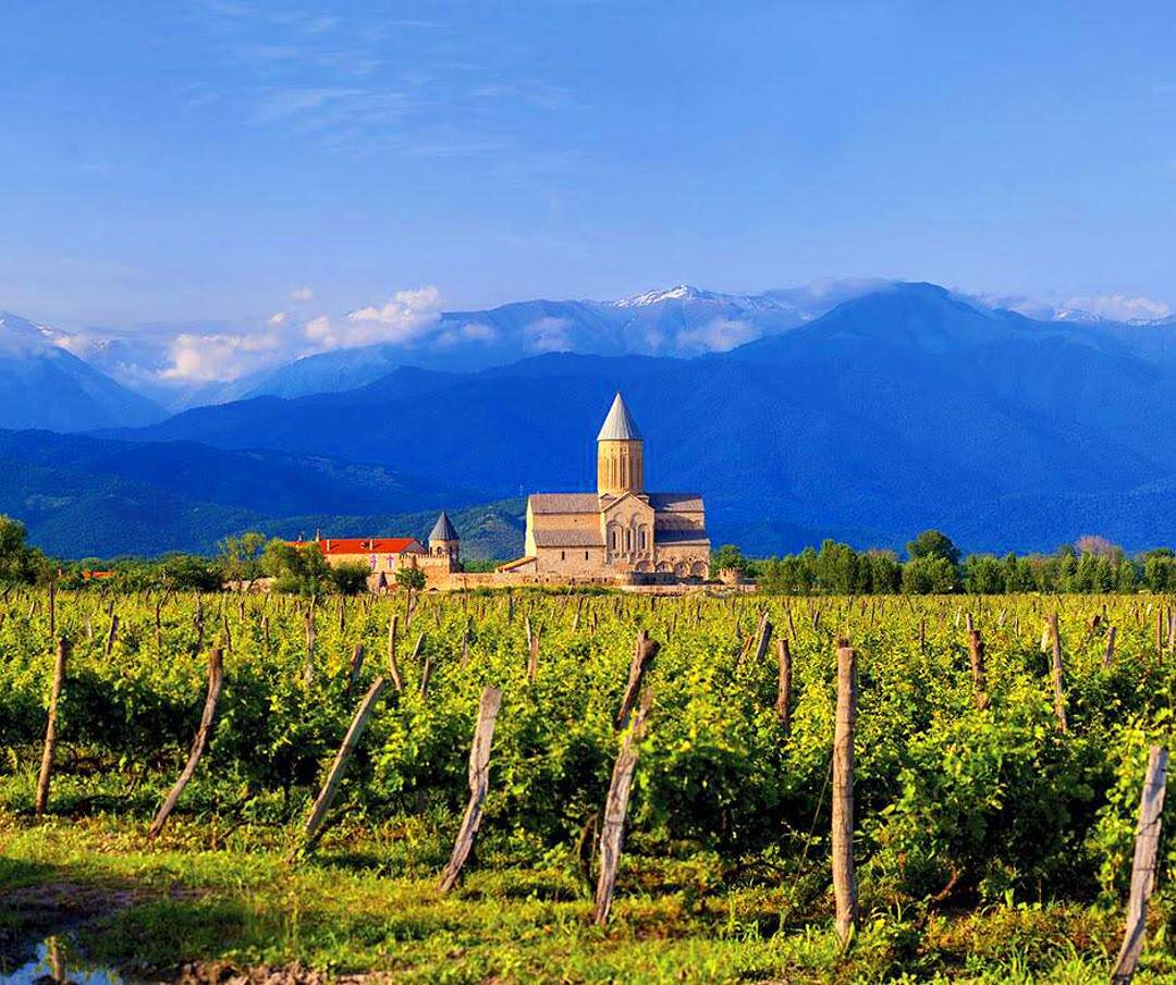 Виноградники в Картли.