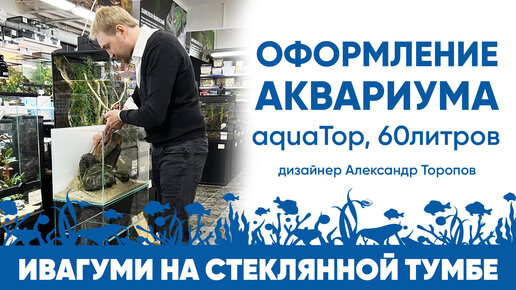 Оформление аквариума aquaTop. Ивагуми на стеклянной тумбе.