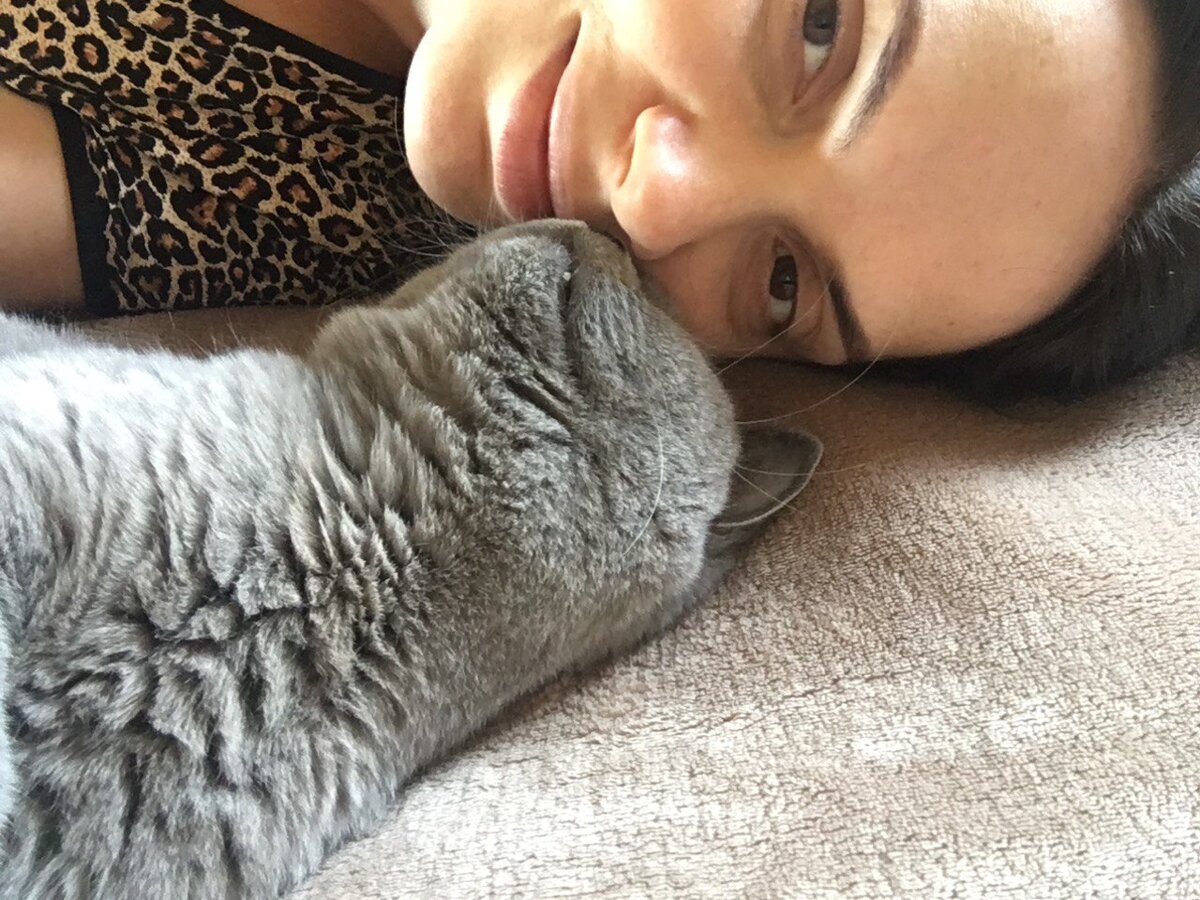 Без кота жизнь не та. Британский голубой кот со своей хозяйкой. Выпускник питомника британских кошек Silvery Snow 