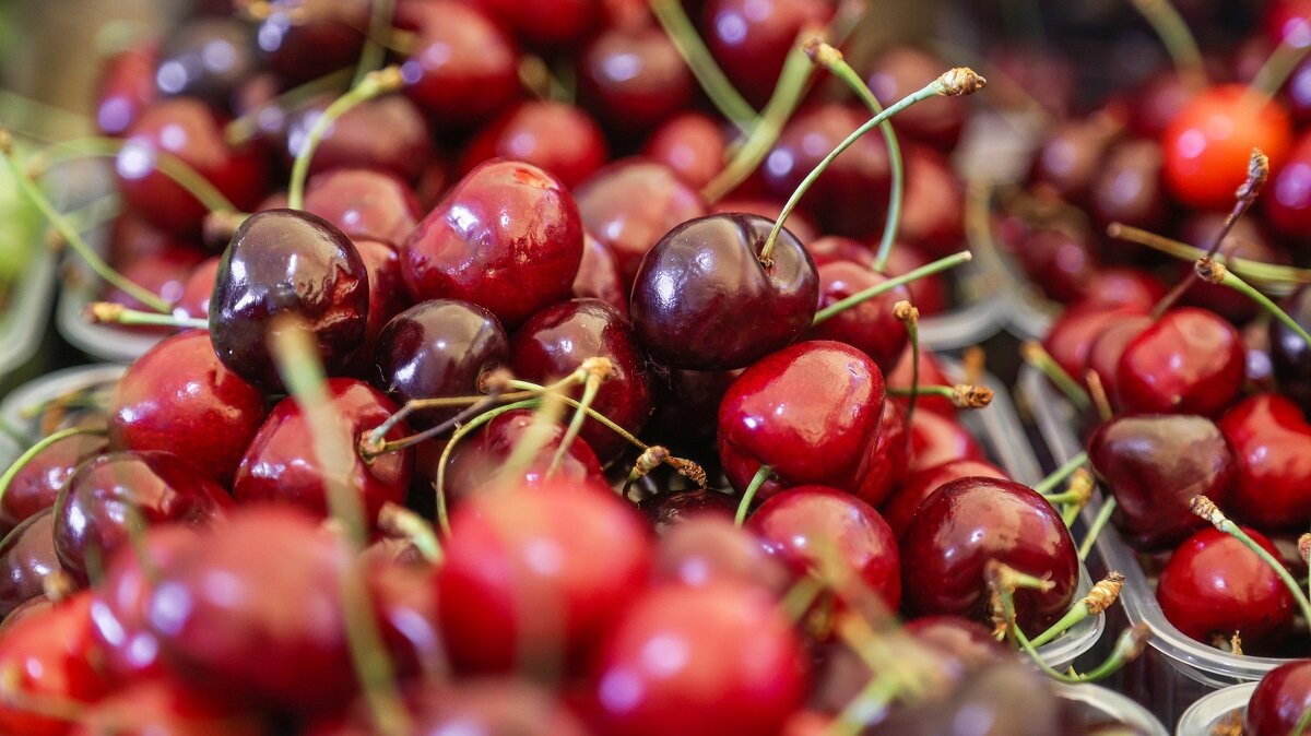    Кому не стоит есть черешню и почему