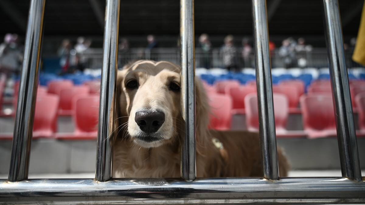    Фото: Алексей Орлов / Вечерняя Москва