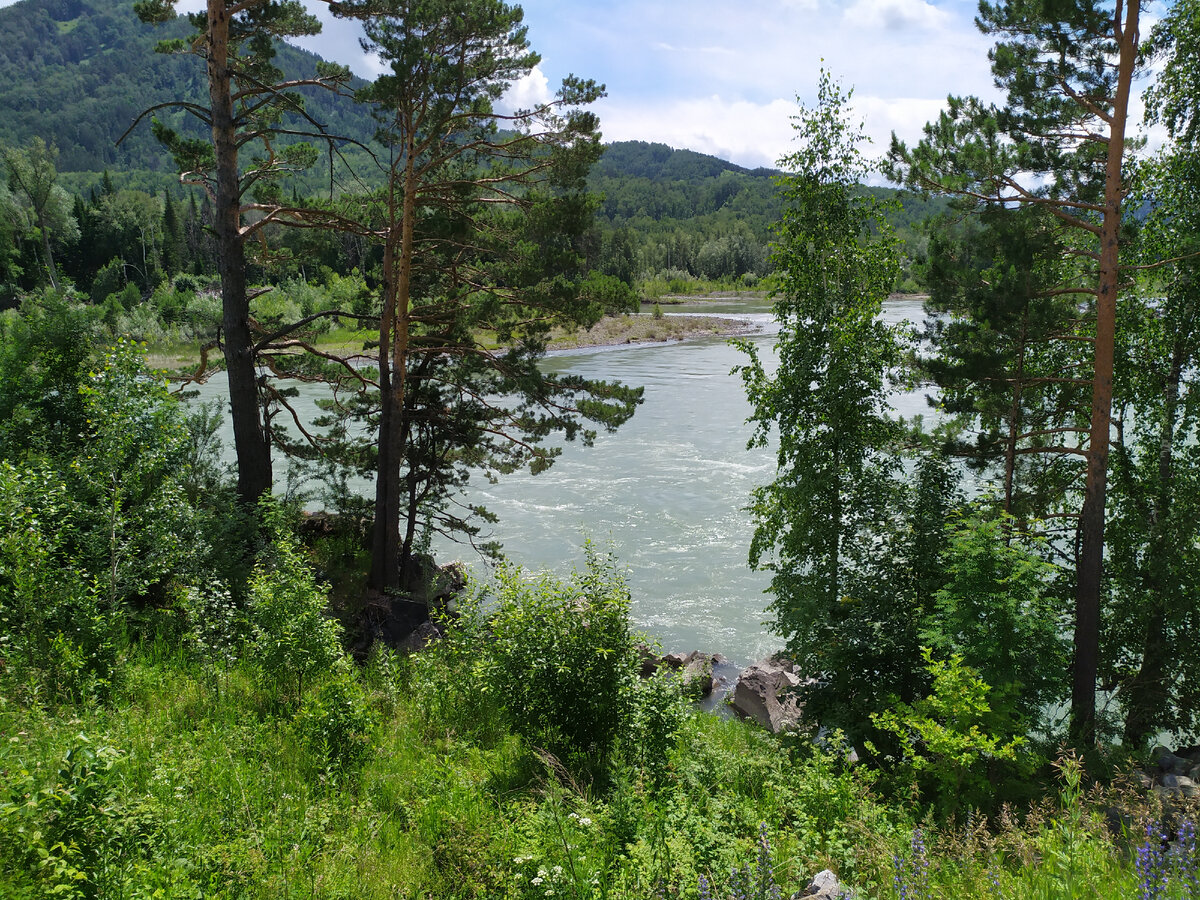 Катунь в районе Тавдинских пещер. Фото автора.