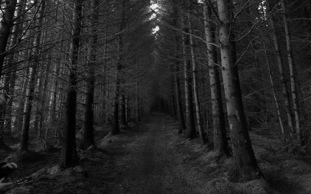 Фоторобот преступника отсутствует, т. к. свидетелей он не оставлял