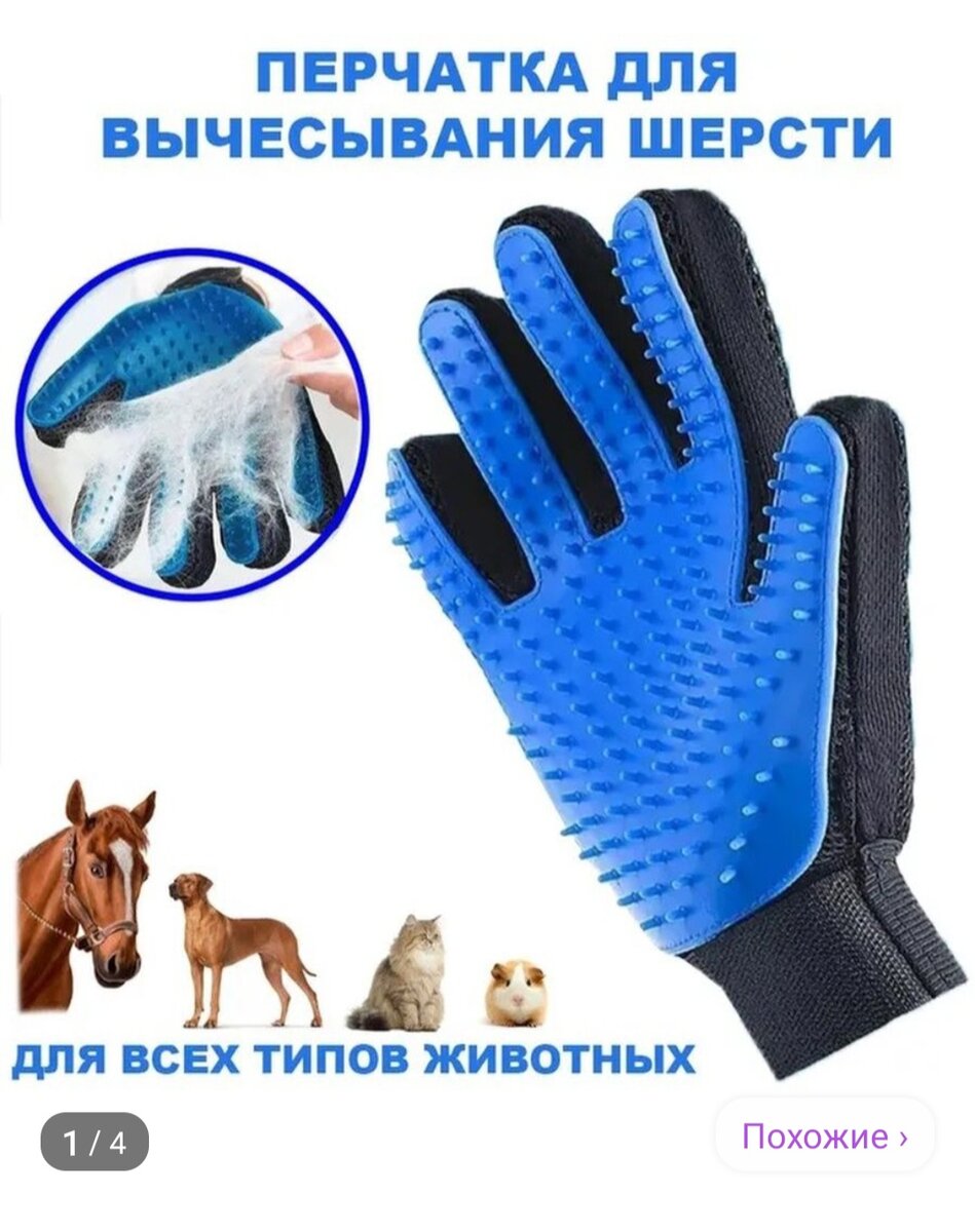 Лошадь что ли завести🤣?