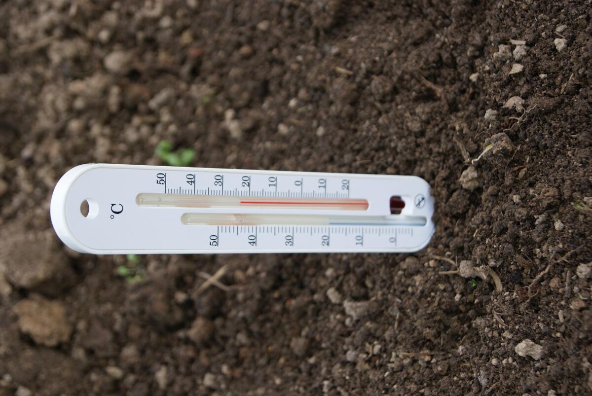 Оптимальная температура почвы для посева. Термометр почвенный ТБП блистер. Почвенный термометр почвенный. Термометр для почвы. Термометр для измерения температуры почвы.